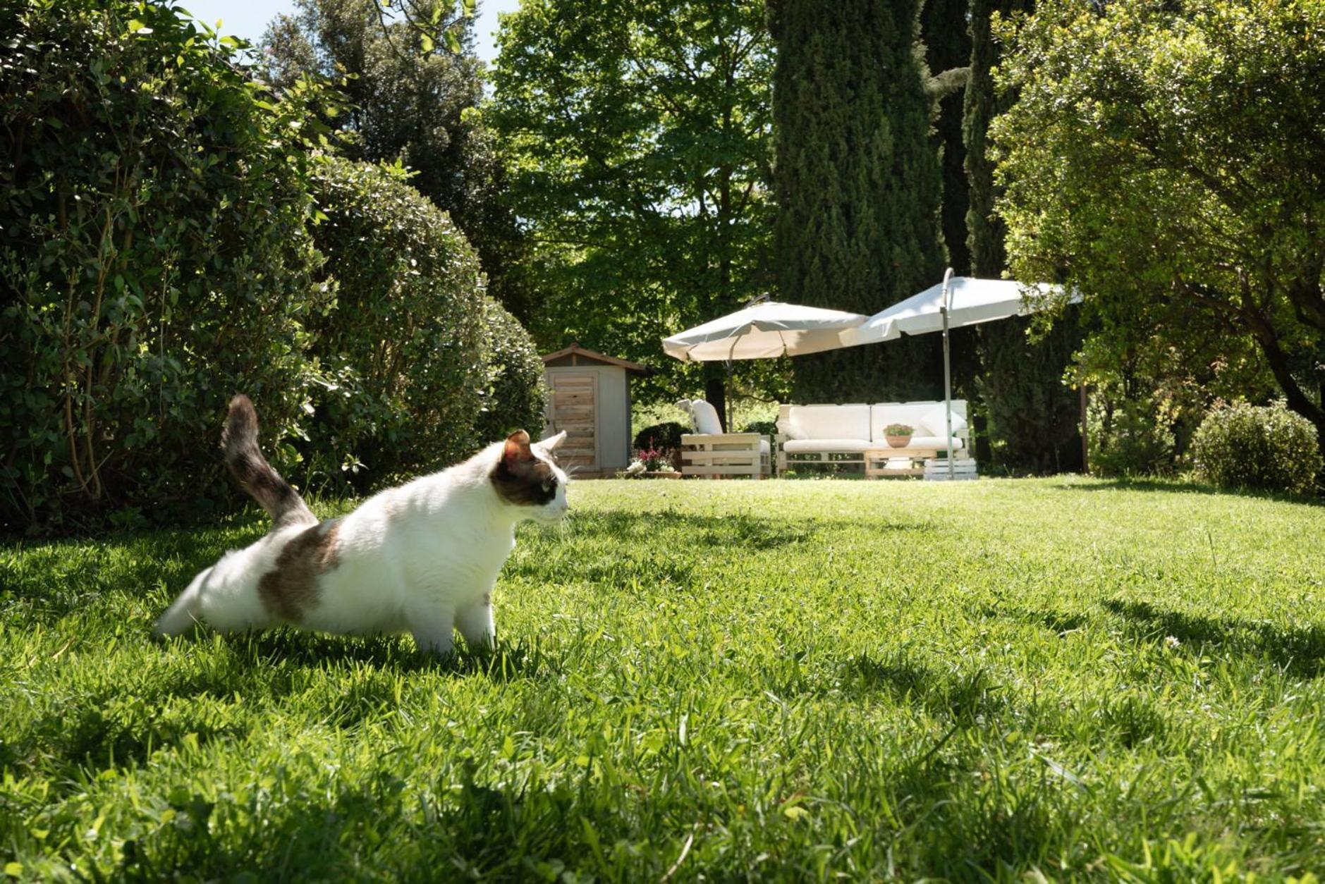 Bed and Breakfast La Vittoria 10 - La Soglia Della Val D'Orcia à Chianciano Terme Extérieur photo